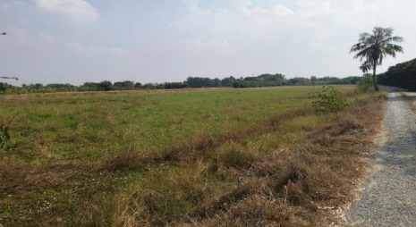 รูปที่ดินว่างเปล่า คลองนกกระทุง บางเลน นครปฐม