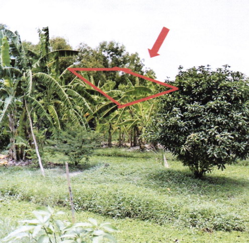 รูปที่ดินว่างเปล่า สายไหม สายไหม กรุงเทพมหานคร