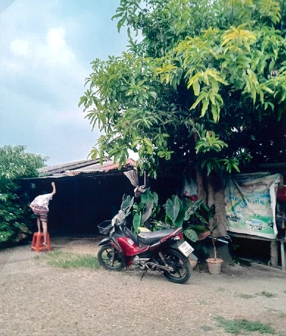 รูปที่ดินพร้อมสิ่งปลูกสร้าง วังเย็น บางแพ ราชบุรี