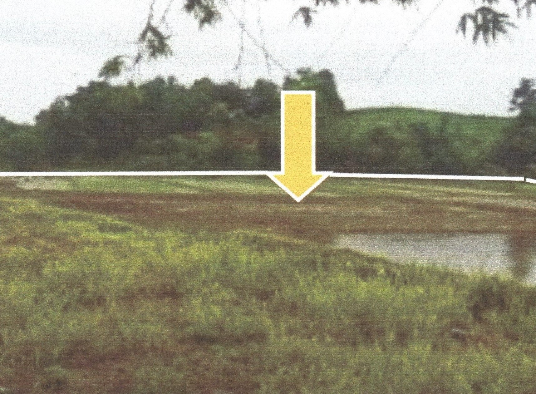 รูปที่ดินว่างเปล่า แม่สรวย แม่สรวย เชียงราย