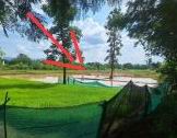 รูปที่ดินว่างเปล่า หนองตูม ภูเขียว ชัยภูมิ