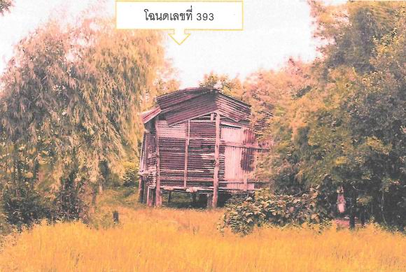 รูปที่ดินพร้อมสิ่งปลูกสร้าง โนนรัง ชุมพวง นครราชสีมา