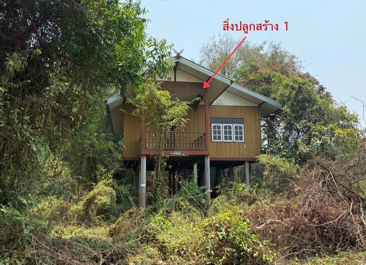 รูปที่ดินพร้อมสิ่งปลูกสร้าง ชีน้ำร้าย อินทร์บุรี สิงห์บุรี