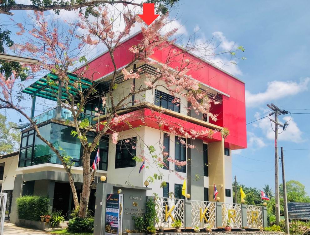 รูปที่ดินพร้อมสิ่งปลูกสร้าง เวียง ไชยา สุราษฎร์ธานี