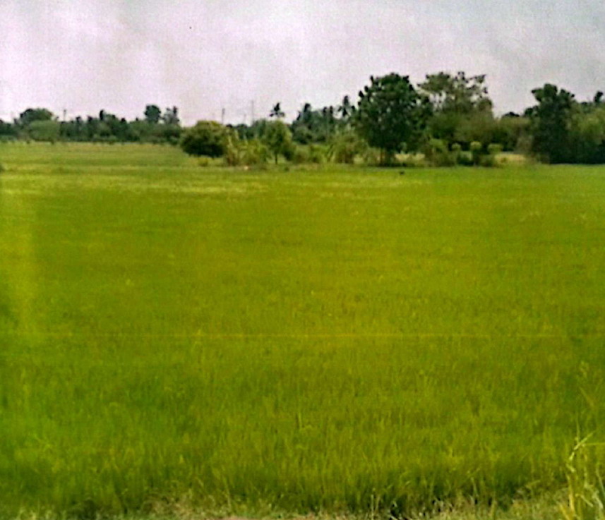 รูปที่ดินว่างเปล่า เขาขลุง บ้านโป่ง ราชบุรี