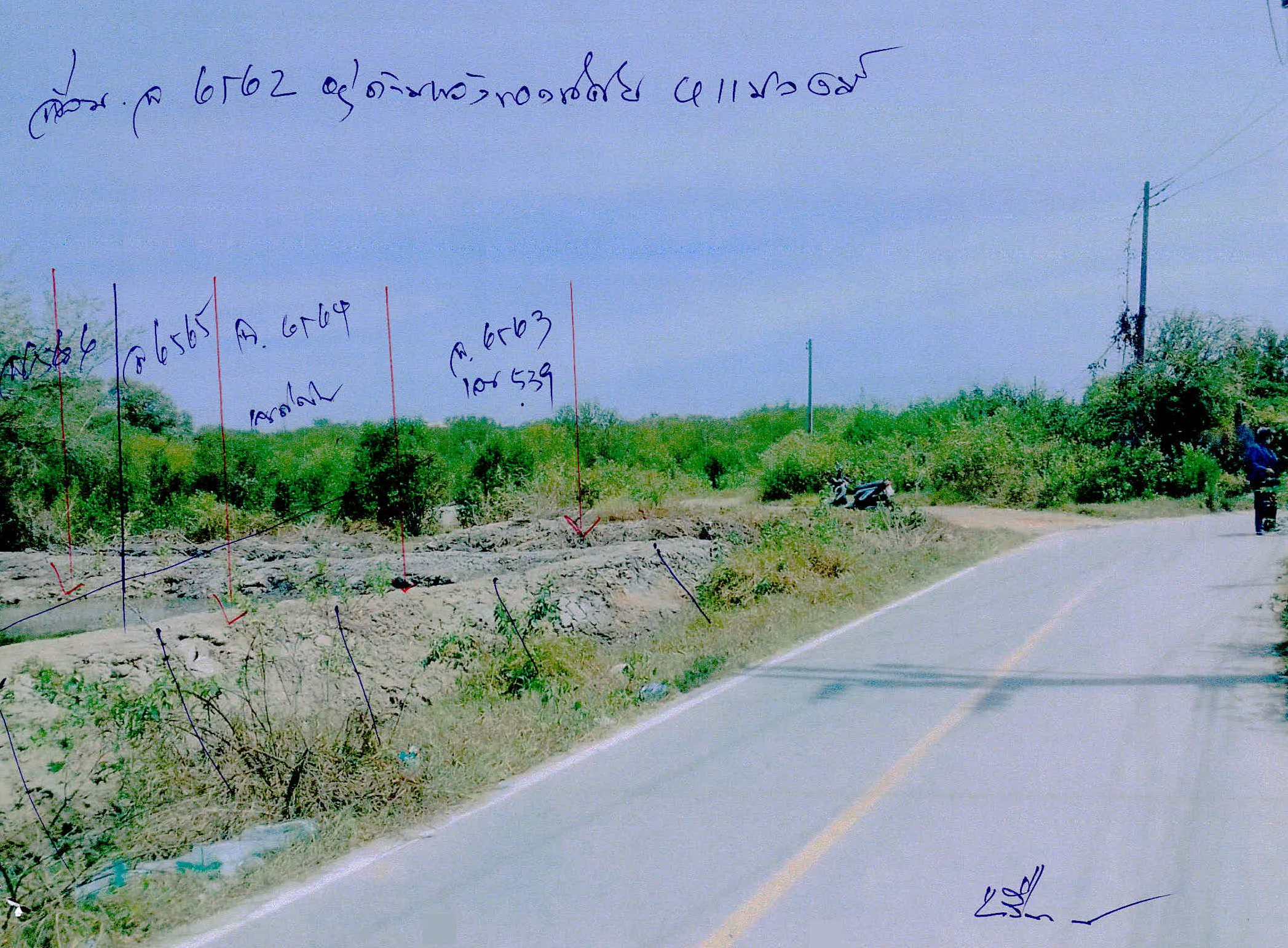 รูปที่ดินว่างเปล่า บานา เมืองปัตตานี ปัตตานี