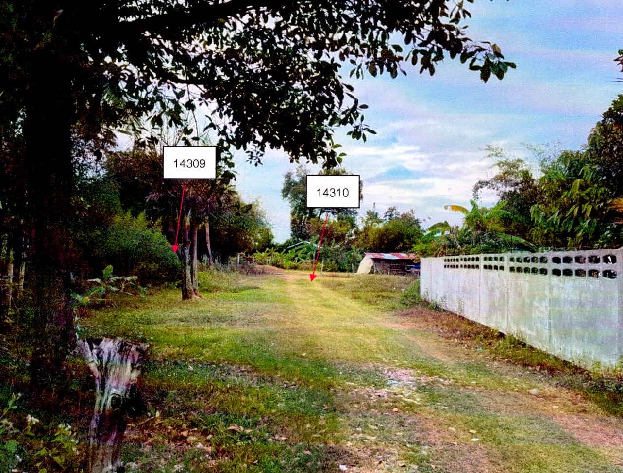 รูปที่ดินว่างเปล่า โพนเขวา เมืองศรีสะเกษ ศรีสะเกษ