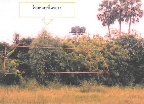 รูปที่ดินว่างเปล่า โนนรัง ชุมพวง นครราชสีมา