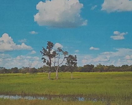 รูปที่ดินว่างเปล่า หนองบัวสันตุ ยางสีสุราช มหาสารคาม