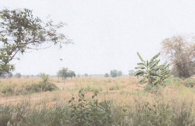 รูปที่ดินว่างเปล่า บ้านข่า ศรีสงคราม นครพนม
