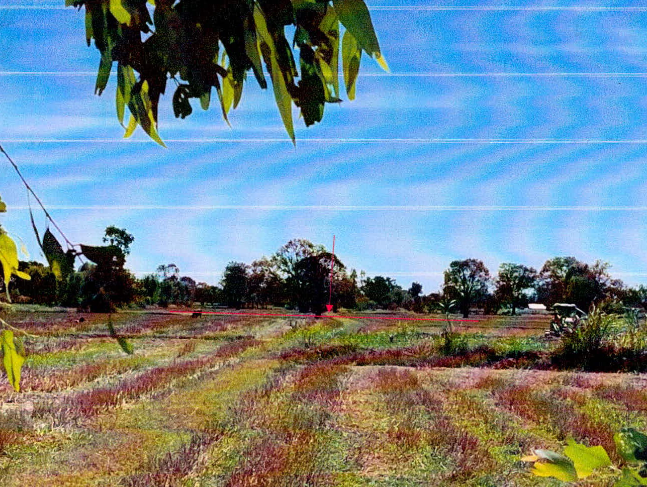 รูปที่ดินว่างเปล่า หนองไฮ เมืองศรีสะเกษ ศรีสะเกษ