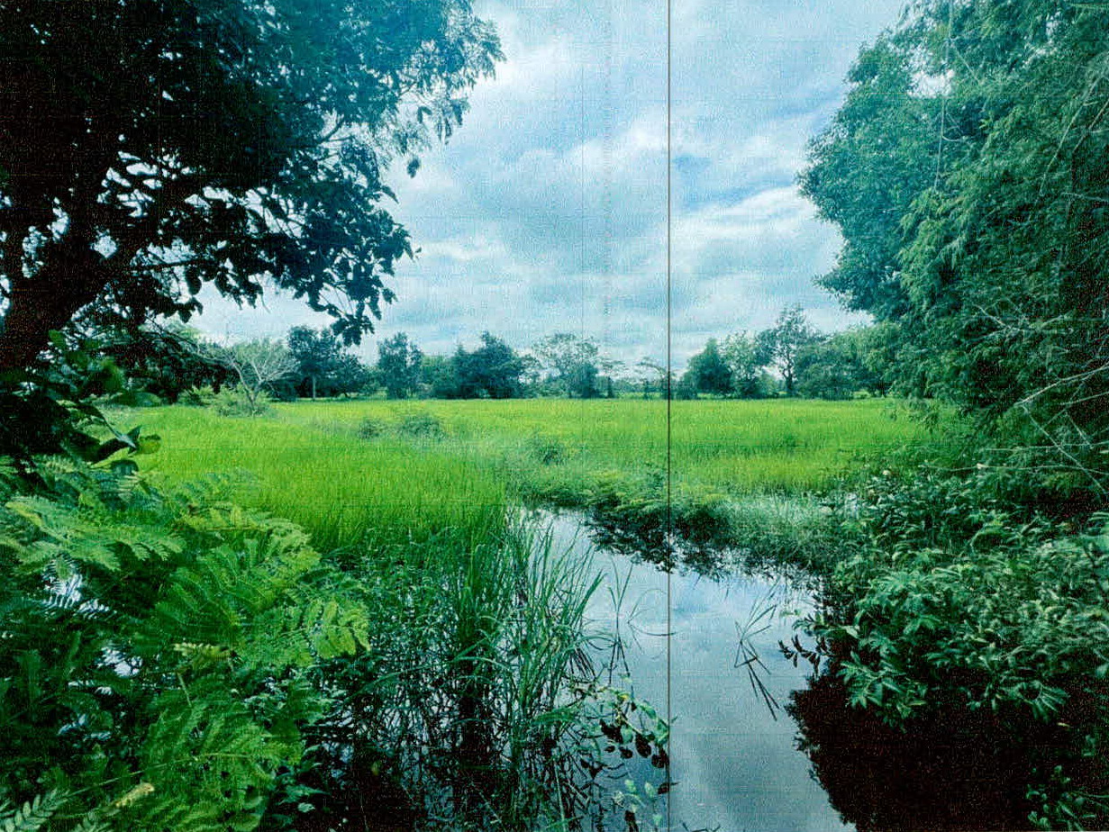 รูปที่ดินว่างเปล่า หนองเหล่า เขื่องใน อุบลราชธานี