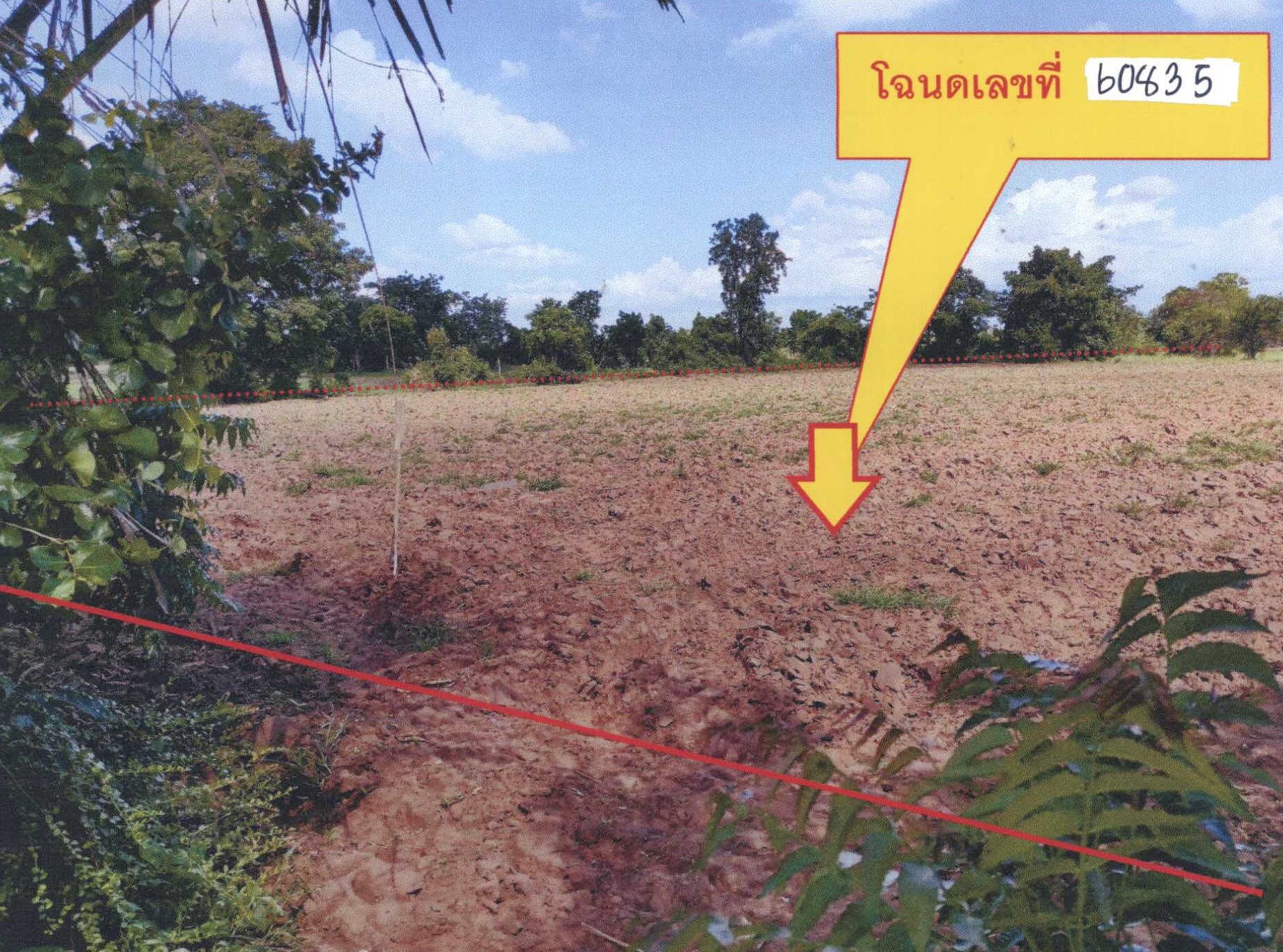 รูปที่ดินว่างเปล่า บัลลังก์ โนนไทย นครราชสีมา