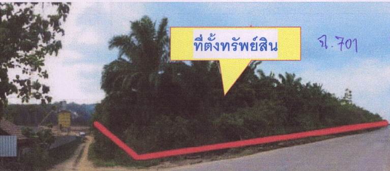 รูปที่ดินว่างเปล่า ต้นยวน พนม สุราษฎร์ธานี