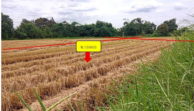 รูปที่ดินว่างเปล่า แสนแสบ มีนบุรี กรุงเทพมหานคร