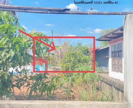 รูปที่ดินว่างเปล่า กุดเค้า มัญจาคีรี ขอนแก่น
