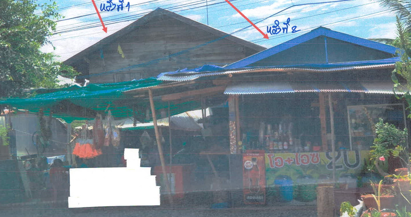 รูปที่ดินพร้อมสิ่งปลูกสร้าง พันชาลี วังทอง พิษณุโลก