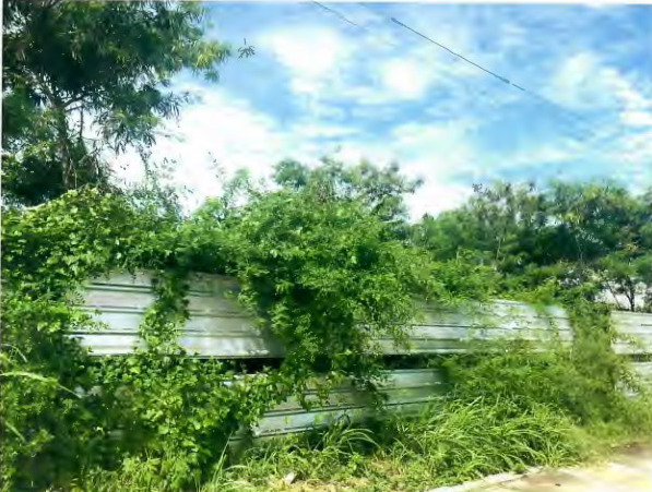 รูปที่ดินว่างเปล่า หนองปรือ บางละมุง ชลบุรี