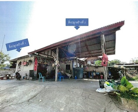รูปที่ดินพร้อมสิ่งปลูกสร้าง โนนศิลาเลิง ฆ้องชัย กาฬสินธุ์