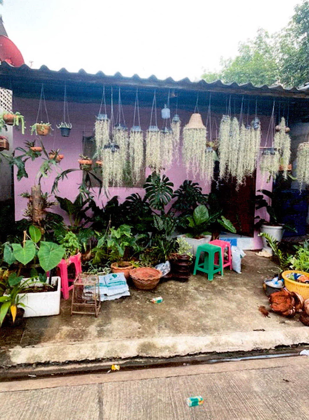 รูปที่ดินพร้อมสิ่งปลูกสร้าง วัดประดู่ เมืองสุราษฎร์ธานี สุราษฎร์ธานี