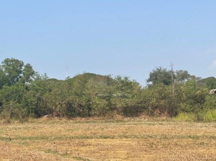 รูปที่ดินว่างเปล่า บึงวิชัย เมืองกาฬสินธุ์ กาฬสินธุ์