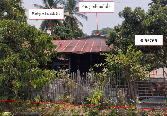 รูปที่ดินพร้อมสิ่งปลูกสร้าง แม่อ้อ พาน เชียงราย