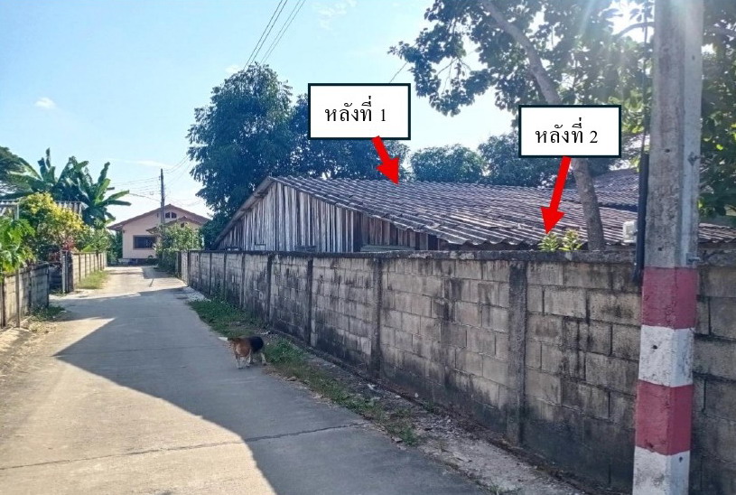 รูปที่ดินพร้อมสิ่งปลูกสร้าง เมืองพาน พาน เชียงราย