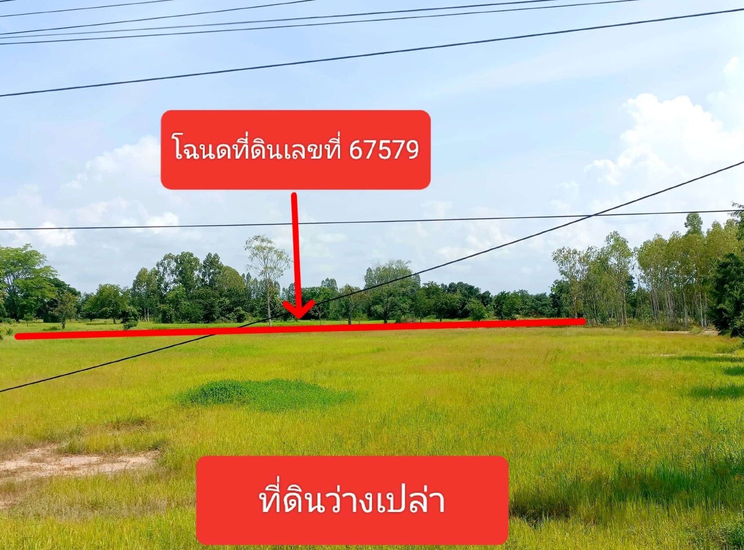 รูปที่ดินว่างเปล่า สำโรง โนนไทย นครราชสีมา