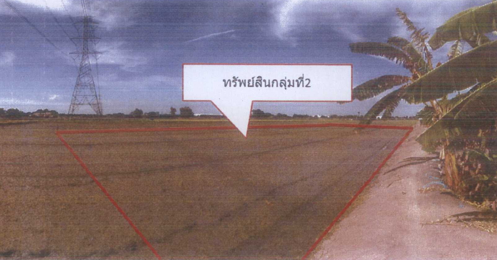 รูปที่ดินว่างเปล่า ไทรใหญ่ ไทรน้อย (บางบัวทอง) นนทบุรี