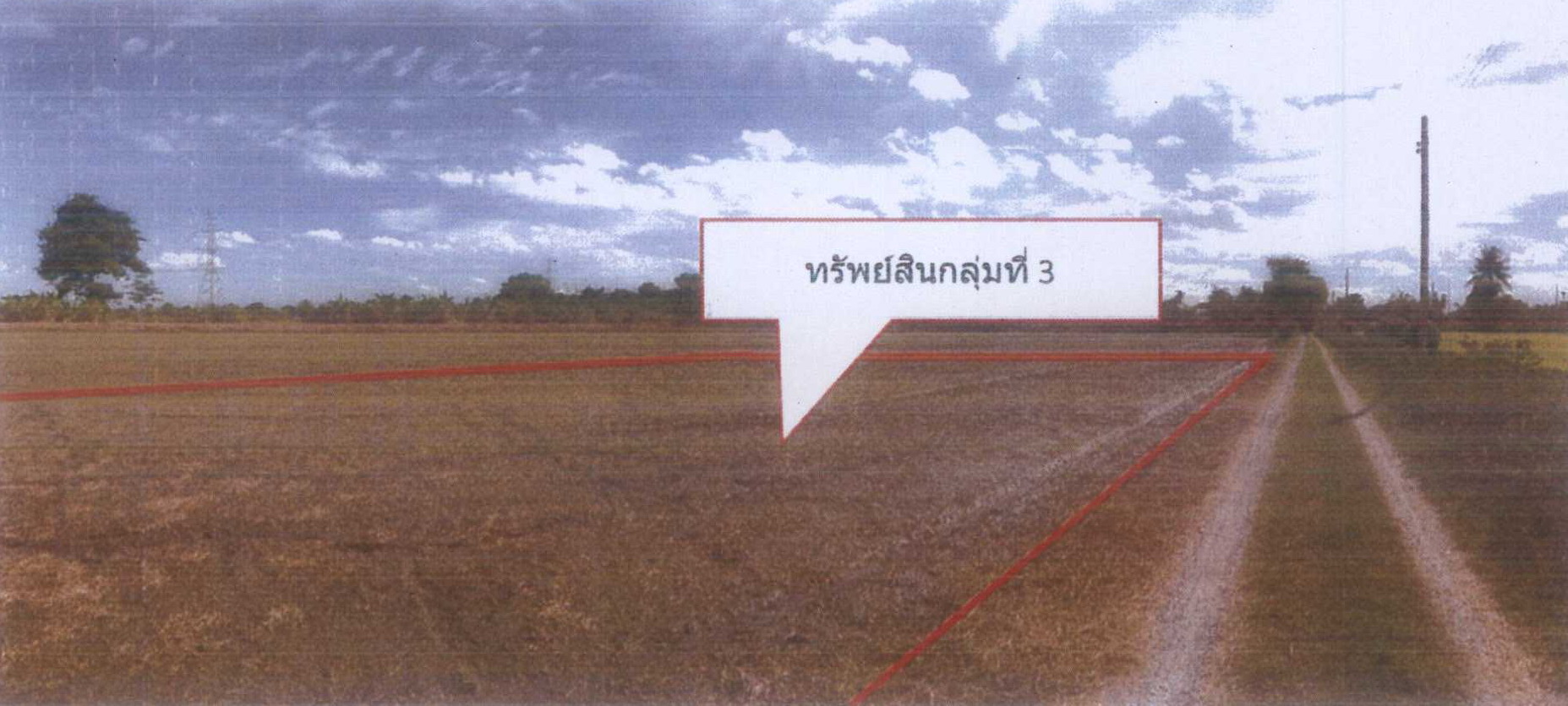 รูปที่ดินว่างเปล่า ไทรใหญ่ ไทรน้อย (บางบัวทอง) นนทบุรี