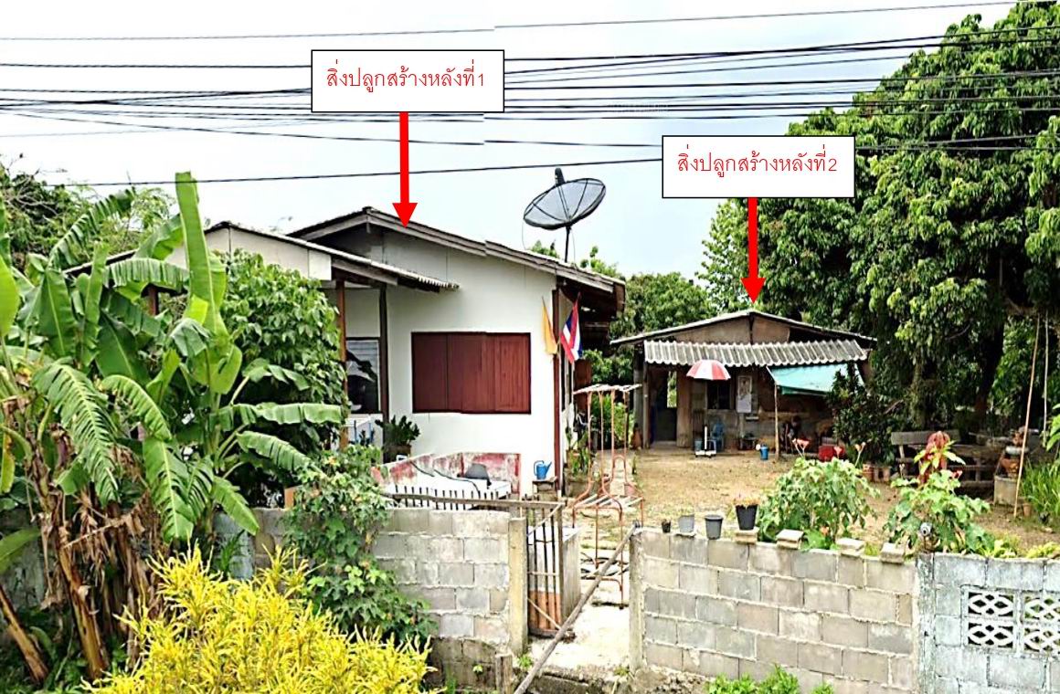 รูปที่ดินพร้อมสิ่งปลูกสร้าง เชียงดาว เชียงดาว เชียงใหม่