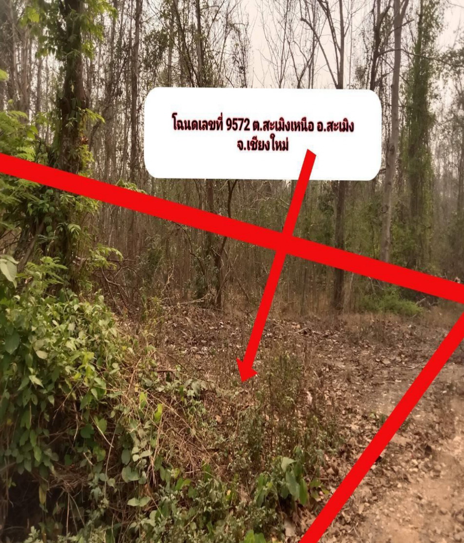 รูปที่ดินว่างเปล่า สะเมิงเหนือ สะเมิง เชียงใหม่