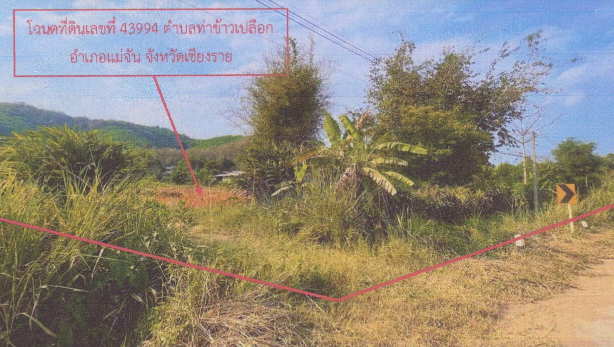 รูปที่ดินว่างเปล่า ท่าข้าวเปลือก แม่จัน เชียงราย