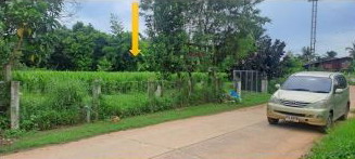 รูปที่ดินว่างเปล่า บึงงาม กิ่งอำเภอทุ่งเขาหลวง ร้อยเอ็ด