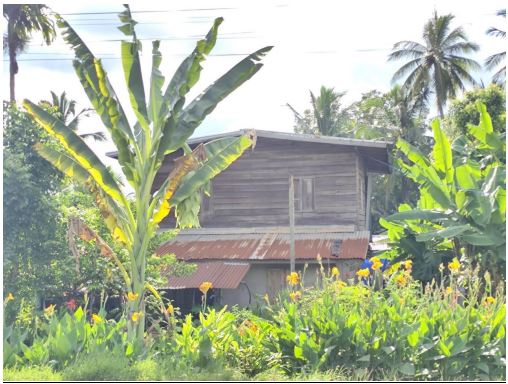 รูปที่ดินพร้อมสิ่งปลูกสร้าง หนองสระปลา หนองหาน อุดรธานี