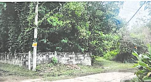 รูปที่ดินว่างเปล่า ลานสะแก พยัคฆภูมิพิสัย มหาสารคาม