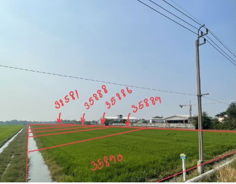 รูปที่ดินว่างเปล่า ไทรใหญ่ ไทรน้อย นนทบุรี