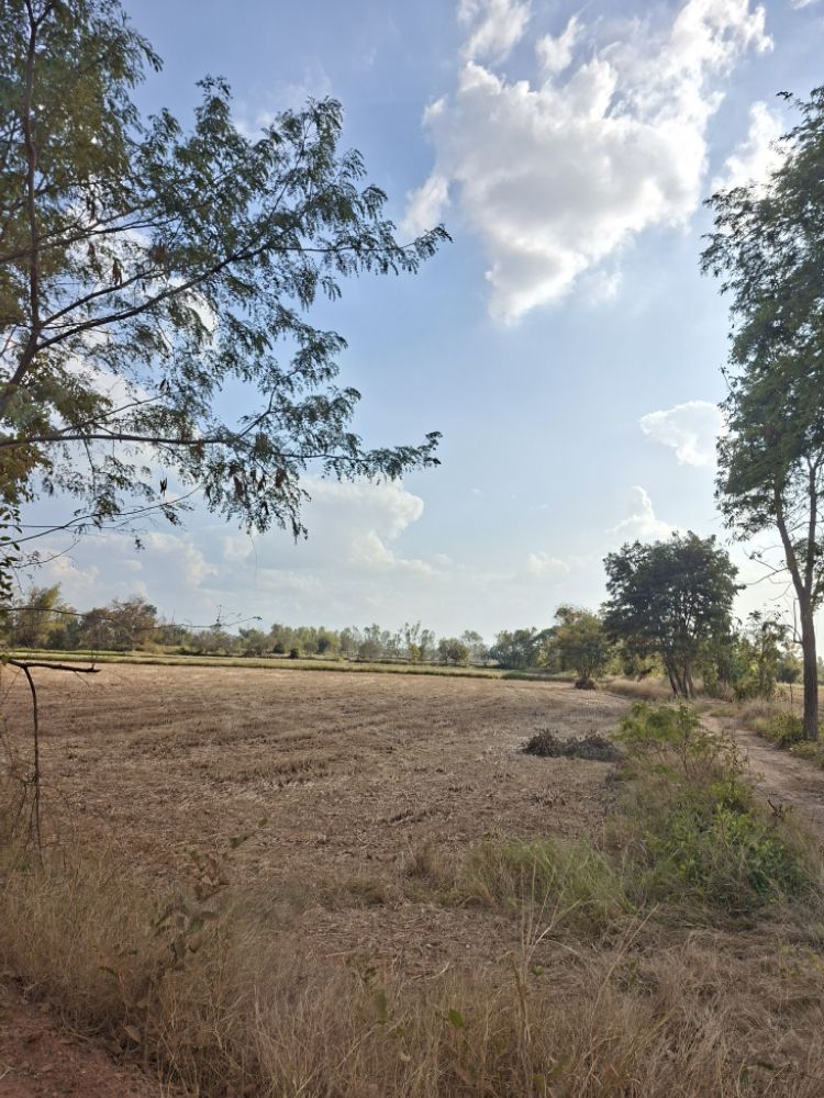 รูปที่ดินว่างเปล่า ลาดพัฒนา เมืองมหาสารคาม มหาสารคาม