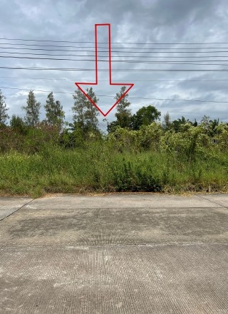 รูปที่ดินว่างเปล่า โคกแฝด หนองจอก กรุงเทพมหานคร