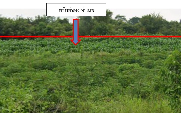 รูปที่ดินว่างเปล่า พุดซา เมืองนครราชสีมา นครราชสีมา