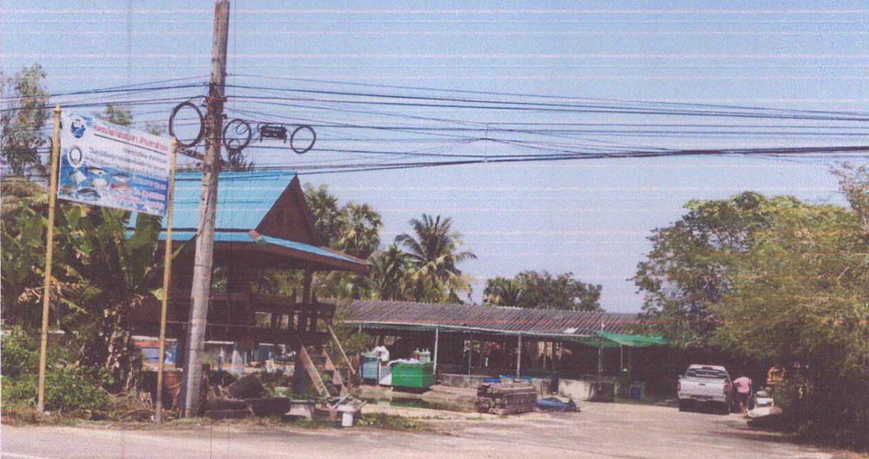 รูปที่ดินพร้อมสิ่งปลูกสร้าง พุนพิน พุนพิน สุราษฎร์ธานี