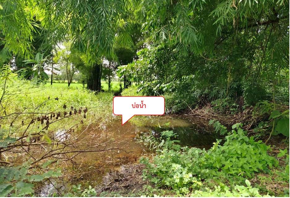 รูปที่ดินว่างเปล่า แม่ปูคา สันกำแพง เชียงใหม่