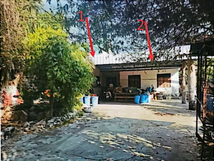 รูปที่ดินพร้อมสิ่งปลูกสร้าง ตูม ปักธงชัย นครราชสีมา