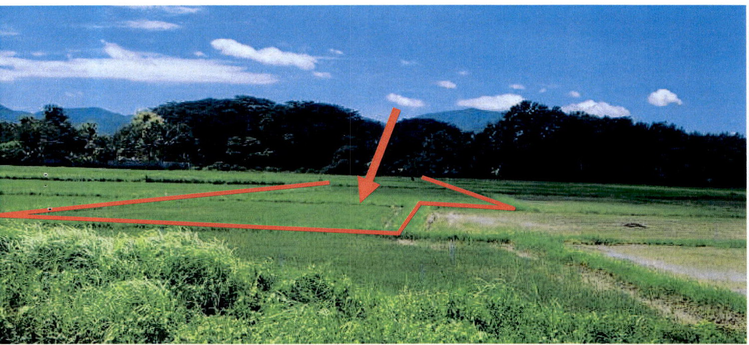 รูปที่ดินว่างเปล่า ทุ่งฝาย เมืองลำปาง ลำปาง