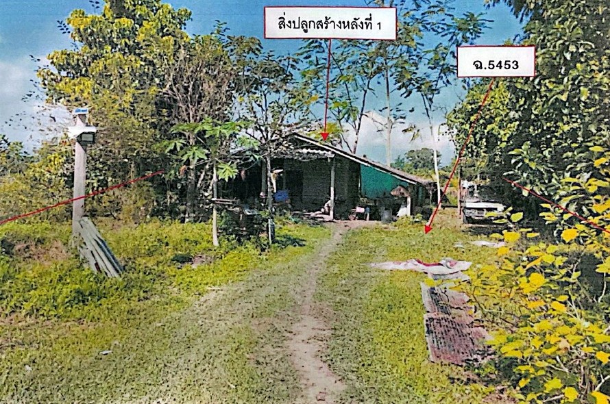 รูปที่ดินพร้อมสิ่งปลูกสร้าง ป่าซาง แม่จัน เชียงราย