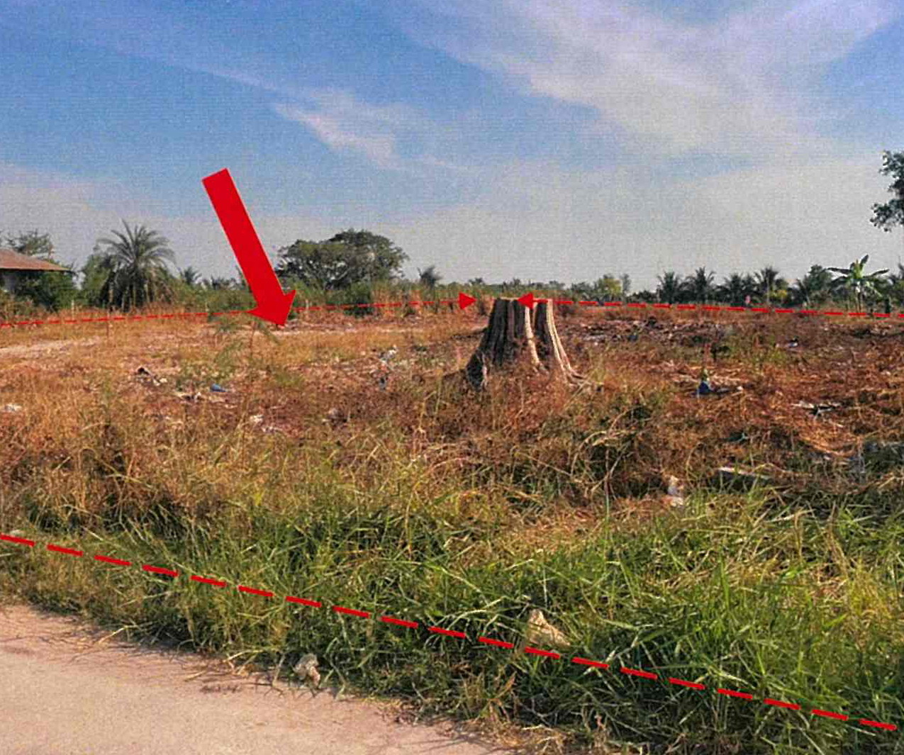 รูปที่ดินว่างเปล่า ลำไทร ลำลูกกา ปทุมธานี