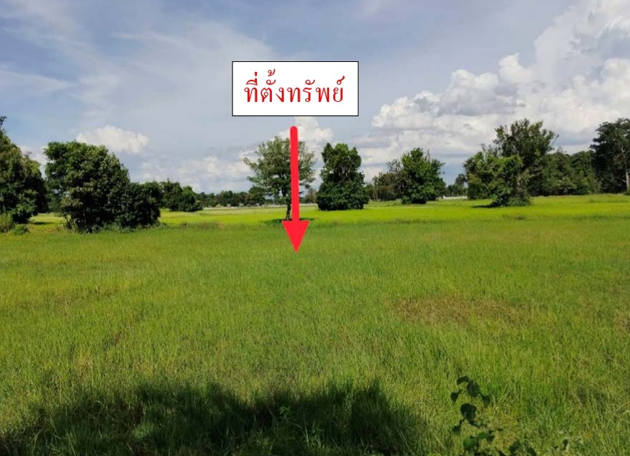 รูปที่ดินว่างเปล่า ศรีสุข กันทรวิชัย มหาสารคาม