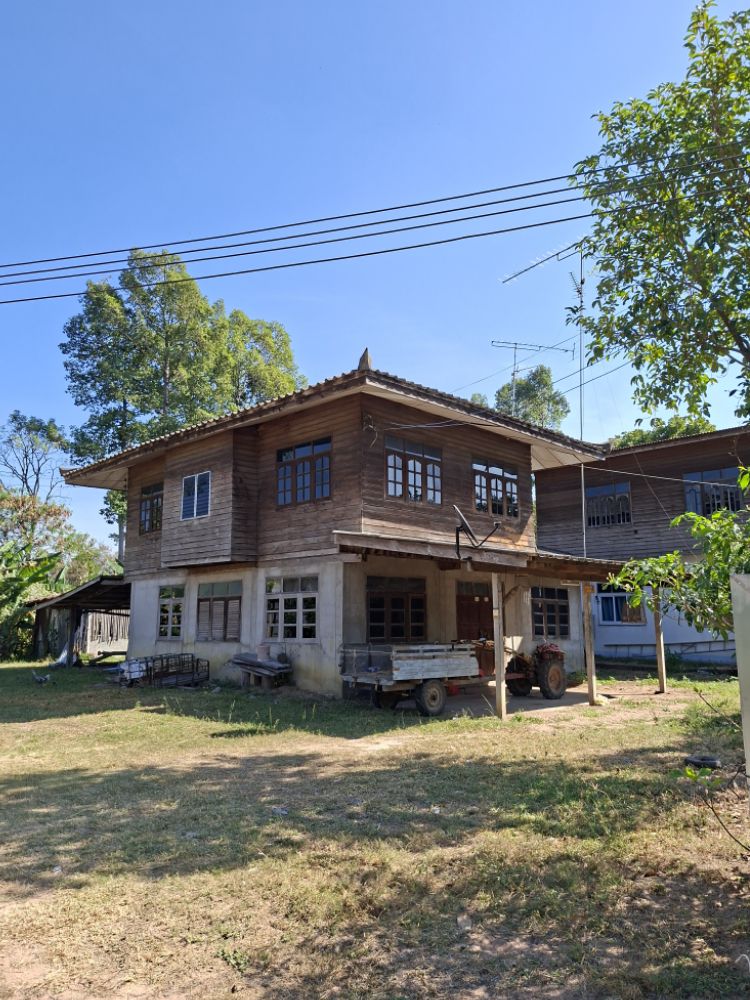 รูปที่ดินพร้อมสิ่งปลูกสร้าง เมืองเสือ พยัคฆภูมิพิสัย มหาสารคาม