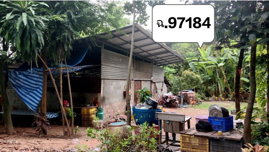 รูปที่ดินพร้อมสิ่งปลูกสร้าง บ้านป่า เมืองพิษณุโลก พิษณุโลก
