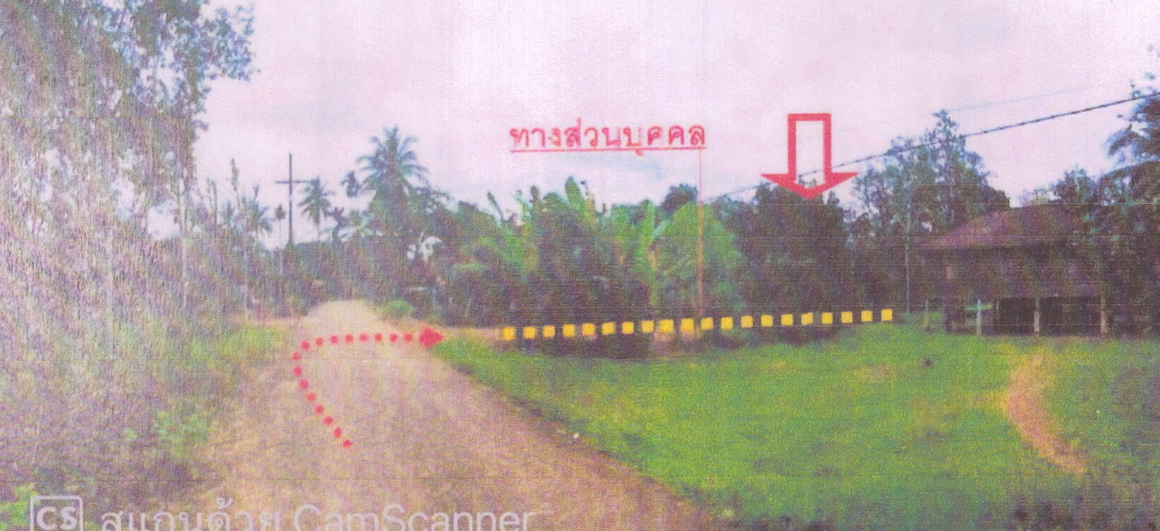 รูปที่ดินว่างเปล่า คลองหลา คลองหอยโข่ง สงขลา